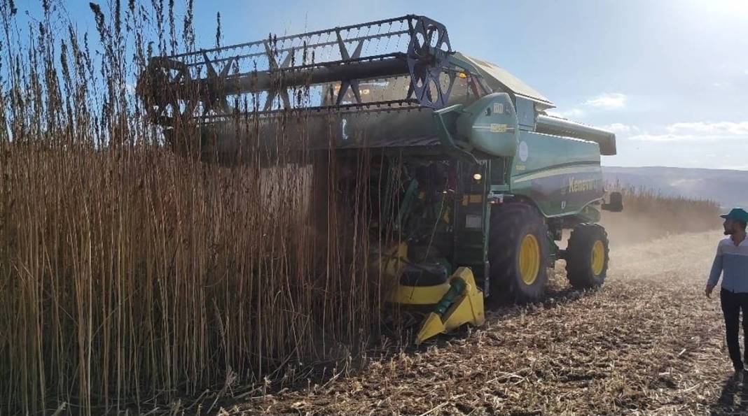 İlk hasat alındı: Kozmetikten tekstile birçok sektörde doping etkisi yapacak! Türkiye'de ilk kez uygulanıyor 3
